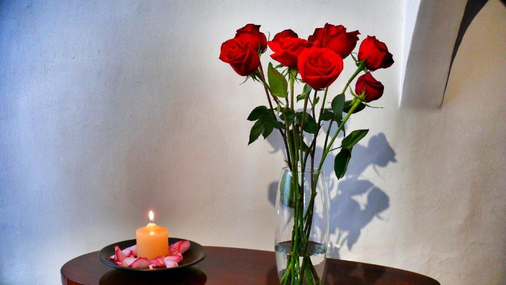 Casa De Las Rosas Cuenca Eksteriør billede