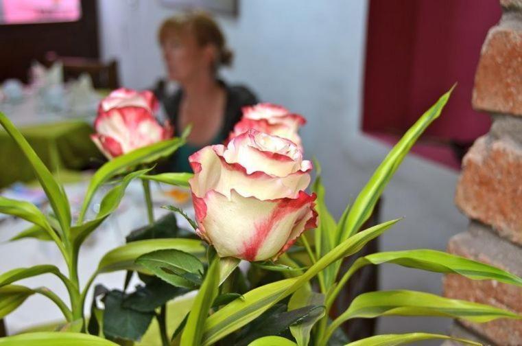 Casa De Las Rosas Cuenca Værelse billede